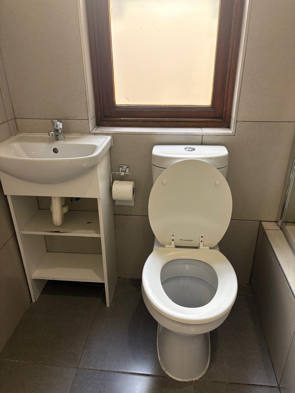 Bathroom after a Spark Skoon deep clean